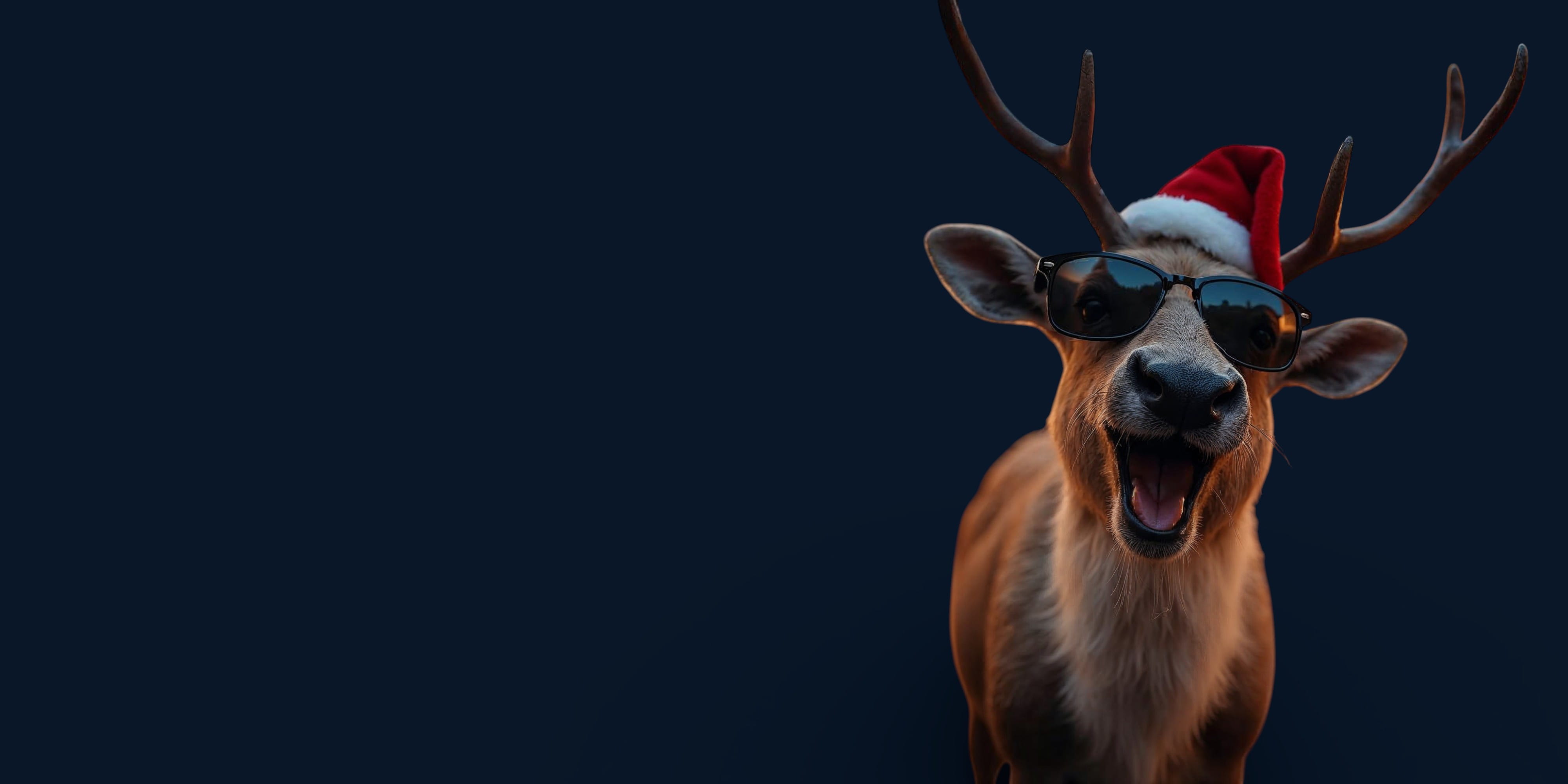 Sansi_Xmas_2025_4000_2000_darkblue